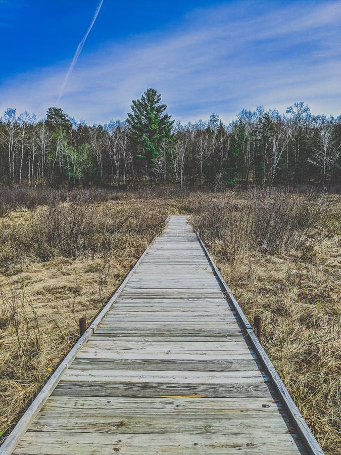 Boardwalk Path In Swamp Stock Image Image Of Walking 30187879