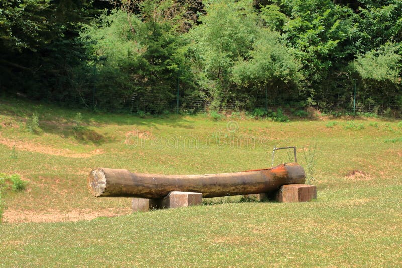 Wooden Water Bowl and Water Tap Emerging from a Chopped Tree Trunk
