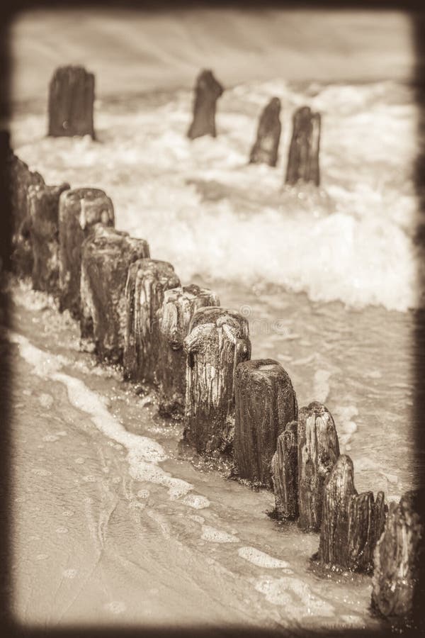 Wooden wave breakers on the beach