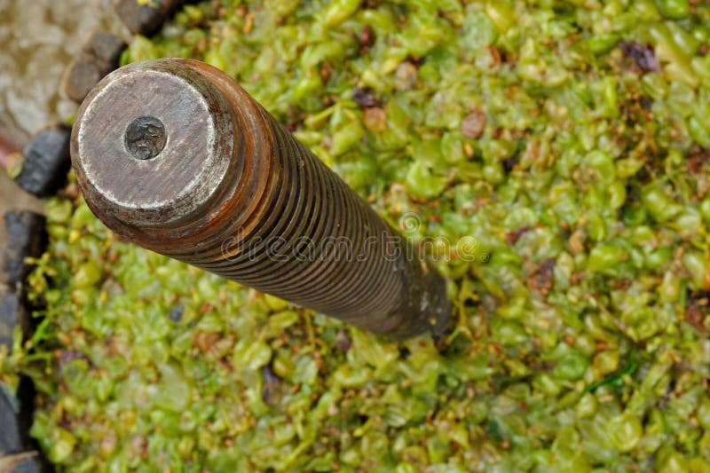 Wooden wine press for pressing grapes