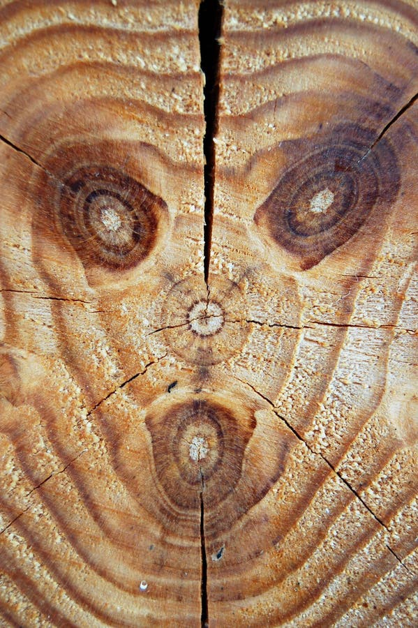 woodface стоковые фото woodface стоковые фото