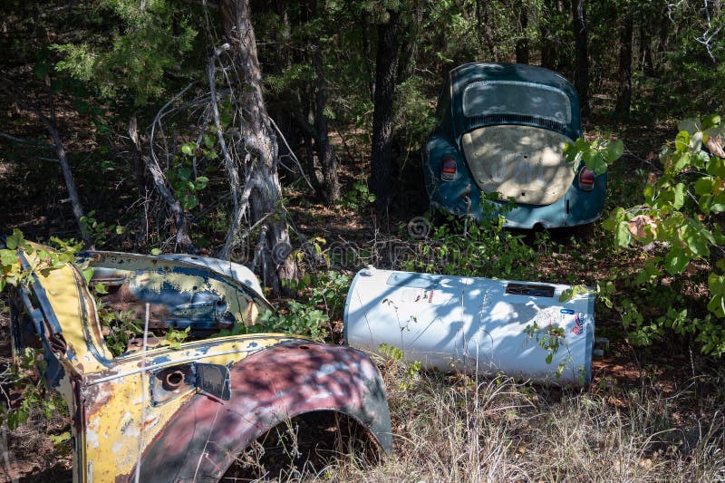 Woodland Area Featuring an Array of Vintage Cars Parked in a Clearing among the Trees Editorial