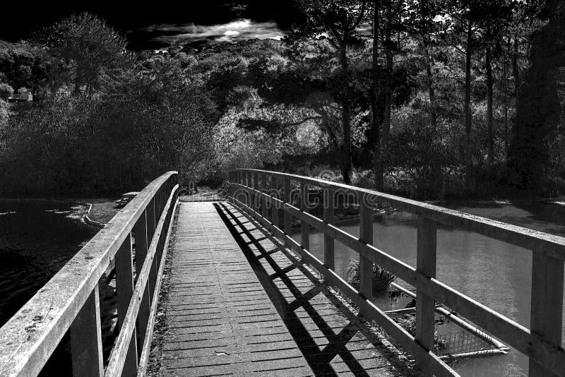 Woodland Bridge stock image. Image of wood, blackandwhite 44263191
