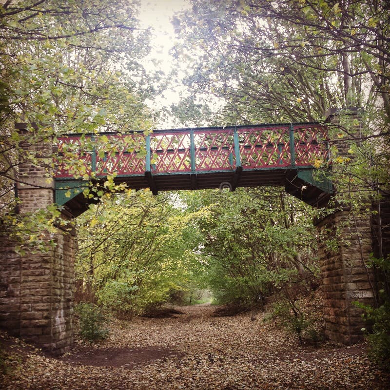 Woodland Bridge stock image. Image of bridge, walk, trees 54566387