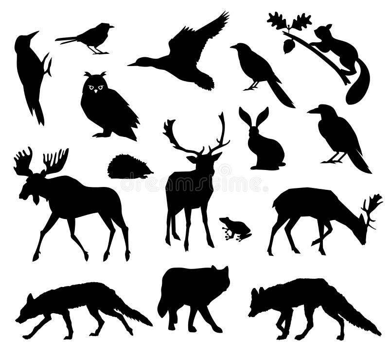 Woodland forest. Animals living in european forest. Vector icon set of silhouette. National park. stock illustration Woodland forest. Animals living in european forest. Vector icon set of silhouette. National park. stock illustration