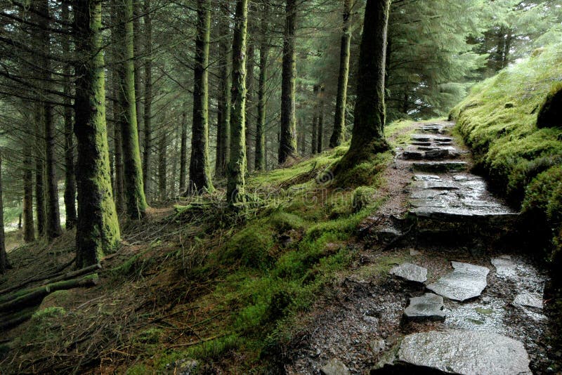 Zen garden path stock photo. Image of harmony, still 10621222