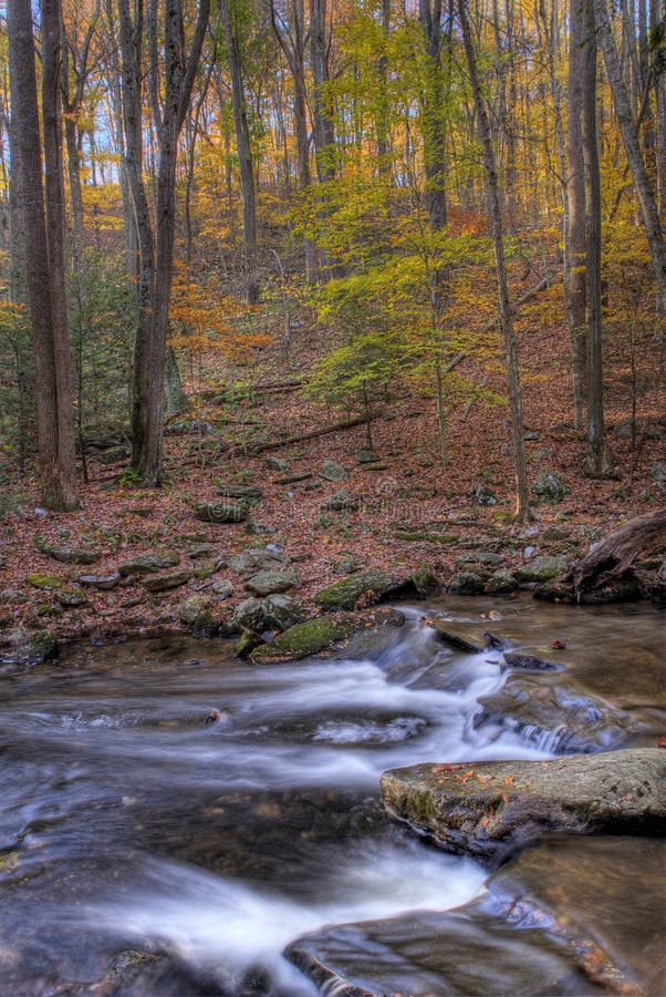 A mountain stream flowing over rocks in the autumn woods. A mountain stream flowing over rocks in the autumn woods