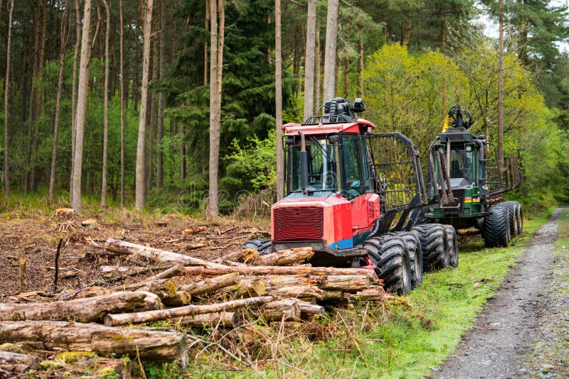 Woodland Tree Cutting Operations and felling