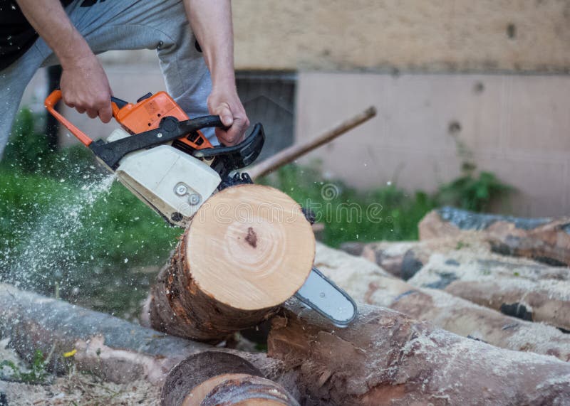 Utilisation D'une Tronçonneuse Pour Bois De Chauffage Image stock - Image  du matériel, bois: 216459739