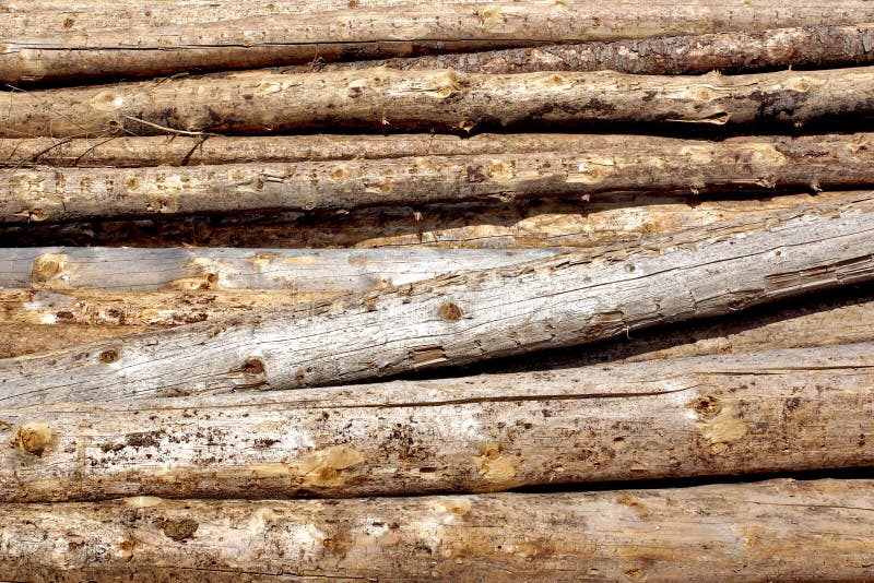 Woodpile of cut Lumber