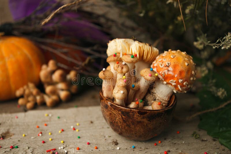 Magic fairytale party table decor, mushroom with confectionary in cup on wooden background, poison toxic food, halloween holiday.