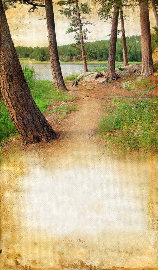 Woods by a Lake on Grunge background