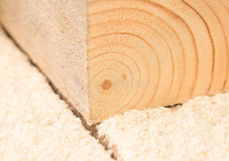 Woodworking stock image. Image of carpenter, ecology - 97253397