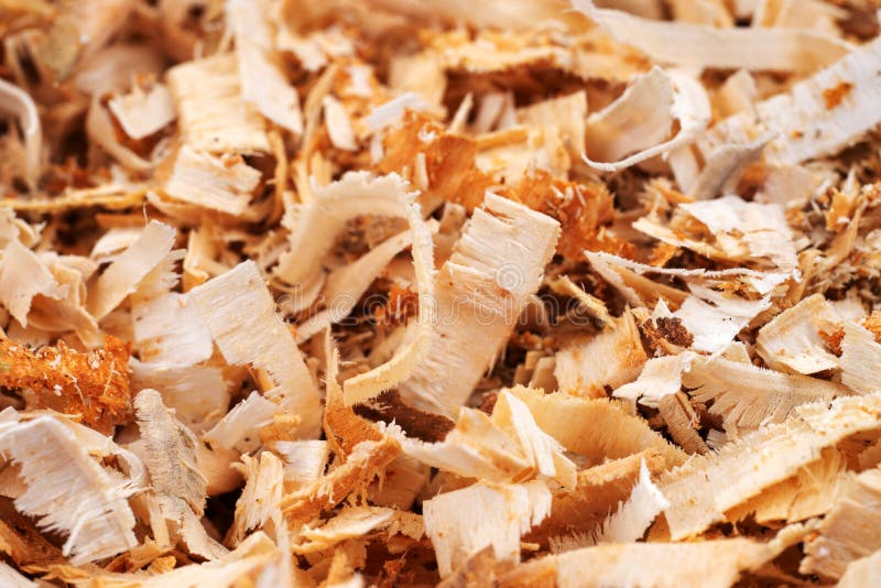Woodworking wood shavings stock image. Image of nature 240868035