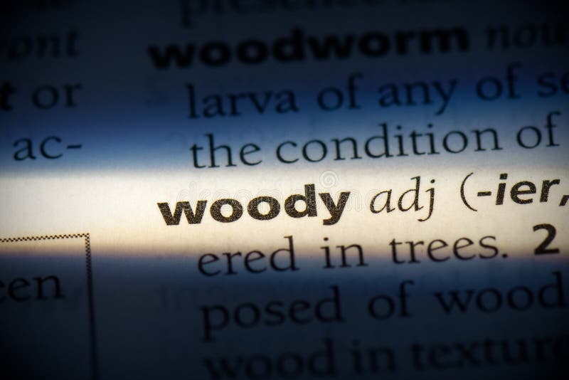 Woody stock image. Image of meaning, idea, definition 161576103