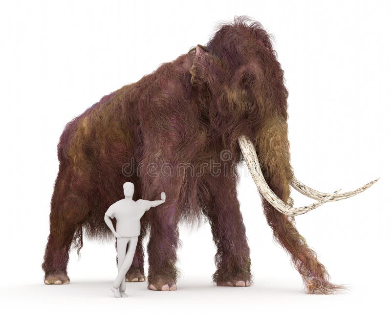 Woolly Mammoth And Human Size Comparison