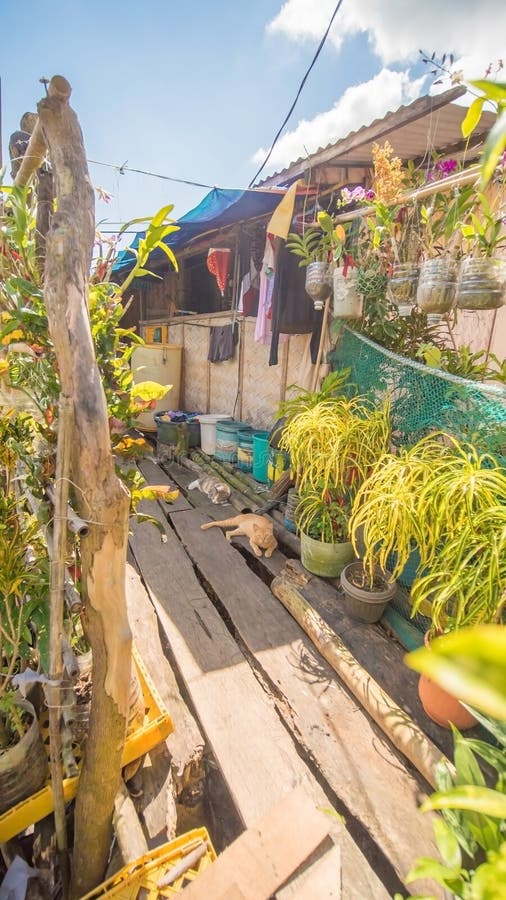 Woonhuizen in het slechte district van de stads` s Kroon Busuanga Meningen van de stads` s Krottenwijken van de rivier stock afbeelding Woonhuizen in het slechte district van de stads` s Kroon Busuanga Meningen van de stads` s Krottenwijken van de rivier stock afbeelding