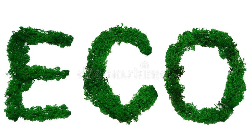 Word eco made from stabilized moss on white background