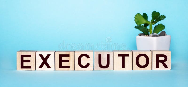 The word EXECUTOR is written on wooden cubes near a flower in a pot on a light blue background.  stock images