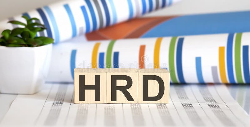 Word HRD made with wood building blocks on chart background royalty free stock photography