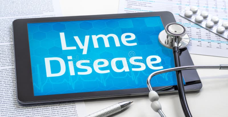 The word Lyme Disease on the display of a tablet stock image