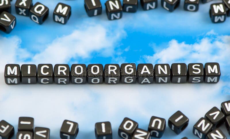 The word microorganism royalty free stock image The word microorganism royalty free stock image