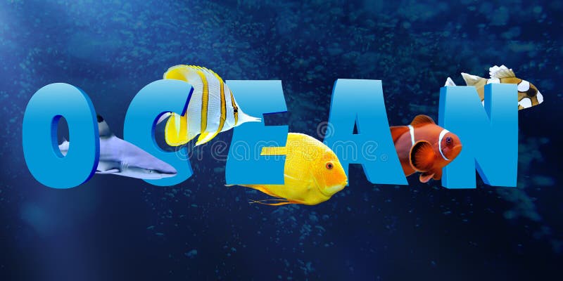 Word OCEAN With Many Tropical Fish Stock Photo Image of