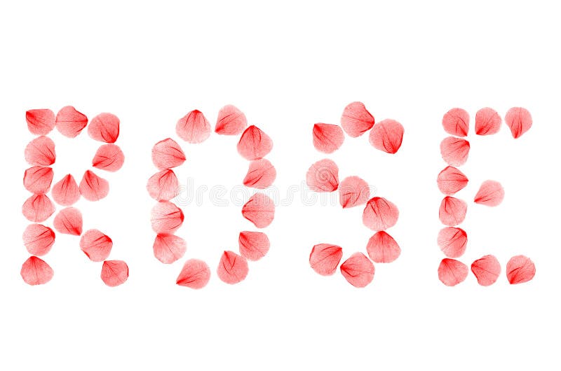Word ROSE Arranged from Real Dry Rose Petals. Stock Photo Image of