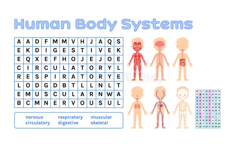 Human Circulatory System. Template for Little Children. Diagram for