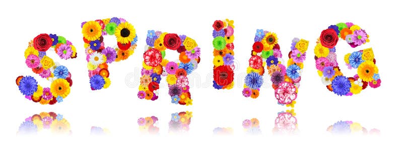 Word Spring with Reflection. Letters are Made out of Colorful Flowers Isolated on White Background. Word art letters stock images, royalty-free photos and pictures