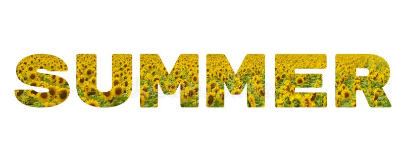 The word `Summer`. Yellow inscription on white background. royalty free stock image The word `Summer`. Yellow inscription on white background. royalty free stock image