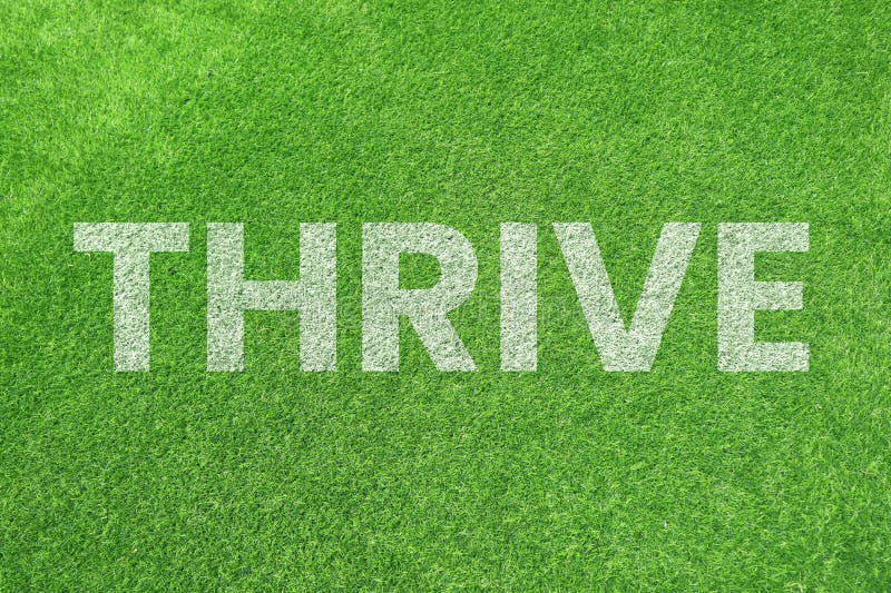 The word THRIVE painted in white textured text on a vibrant green grass background surface. background concept. Word thrive stock images, royalty-free photos and pictures