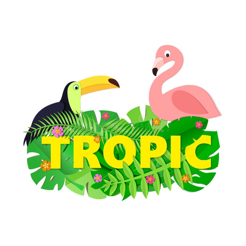 Tropic слово. Tropical Words.