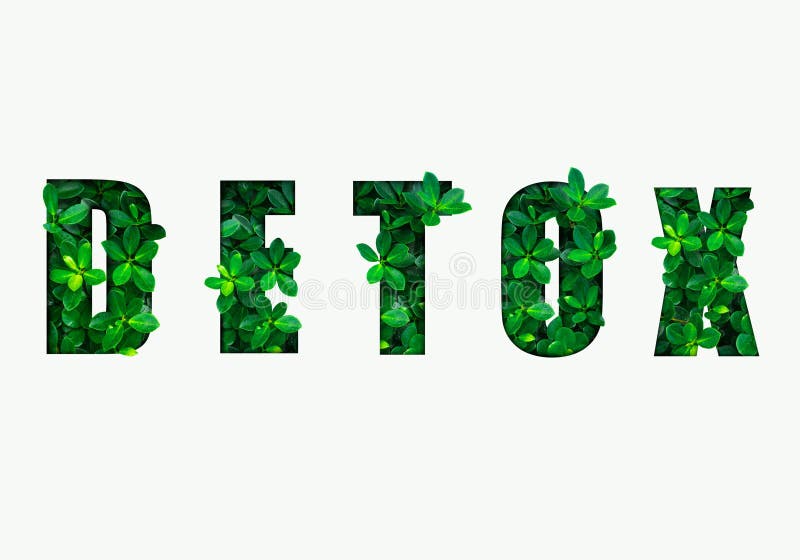 Word wordt detox gemaakt van groene bladeren Concept die dieet, het lichaam, het gezonde eten, ditital detox reinigen vector illustratie Word wordt detox gemaakt van groene bladeren Concept die dieet, het lichaam, het gezonde eten, ditital detox reinigen vector illustratie