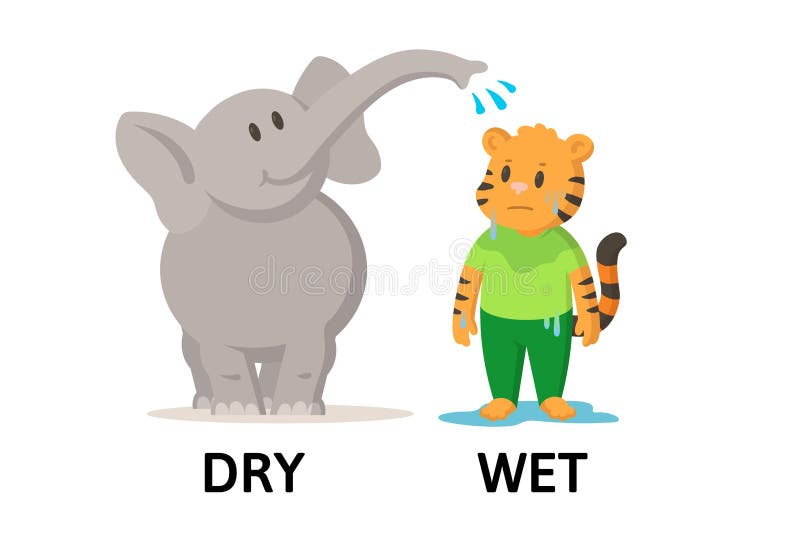 Wet Dry. Wet Dry Worksheets. Wet Dry Flashcards. Противоположные животные математика. Adjectives noisy