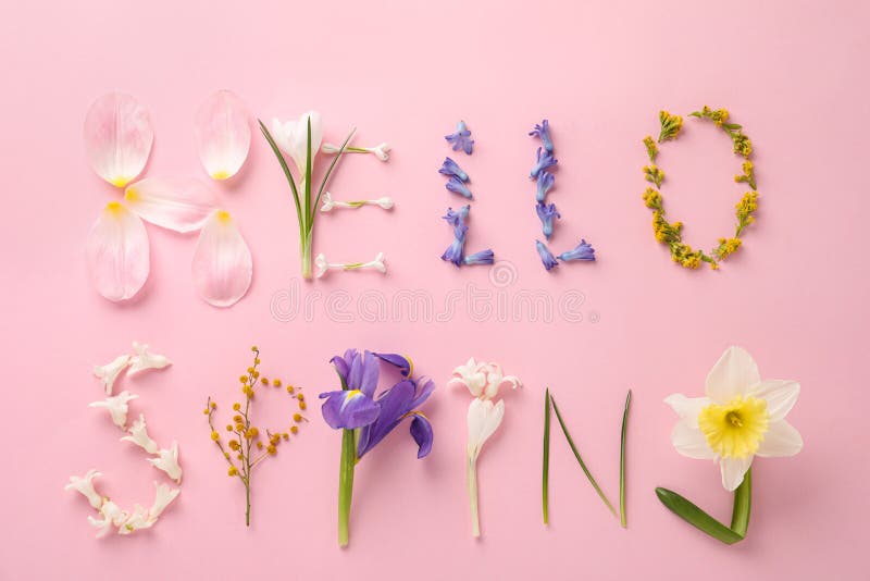 Words HELLO SPRING Made of Fresh Flowers on Pink Background, Flat Lay Stock Image Image of