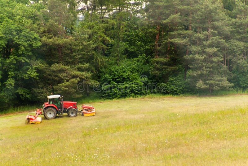Work on an Agricultural Farm. a Red Tractor Cuts a Meadow. Stock Image