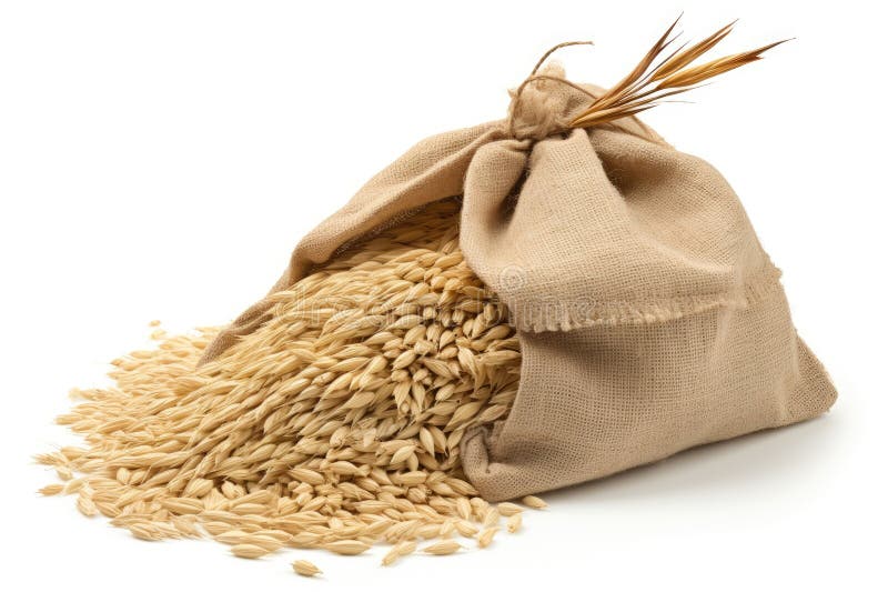 Work burlap z ryżu długoziarnistego wyizolowanego na białym tle. ilustracji