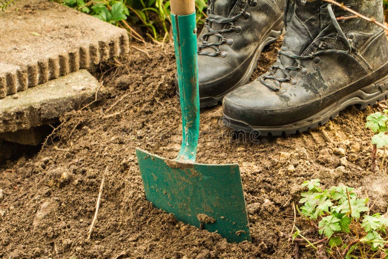 Work gardening. Retired dig for plants. stock photo Work gardening. Retired dig for plants. stock photo