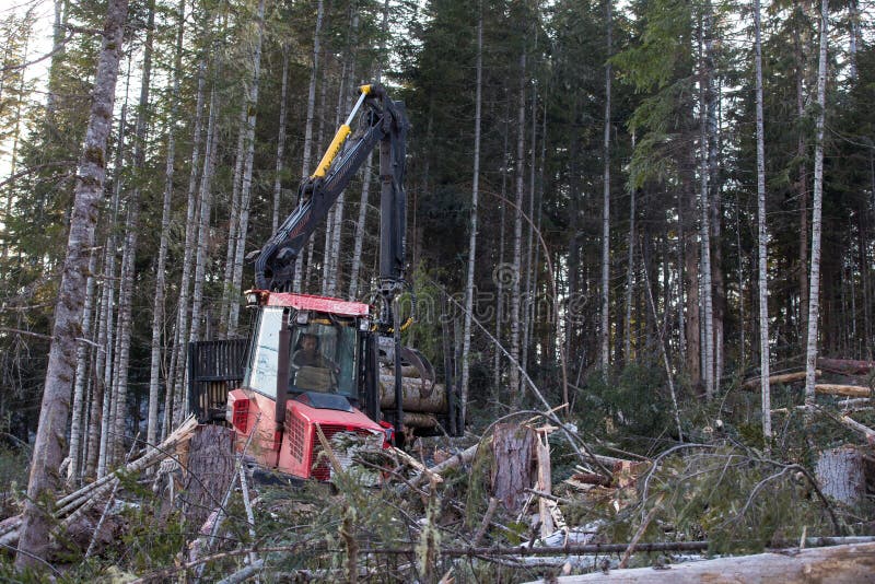 The Work of Heavy Logging Equipment in the Winter Taih. a Forwarder