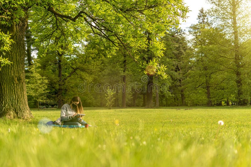 Work laptop outdoor. Student woman with computer, tablet in summer nature park. Girl does business with online