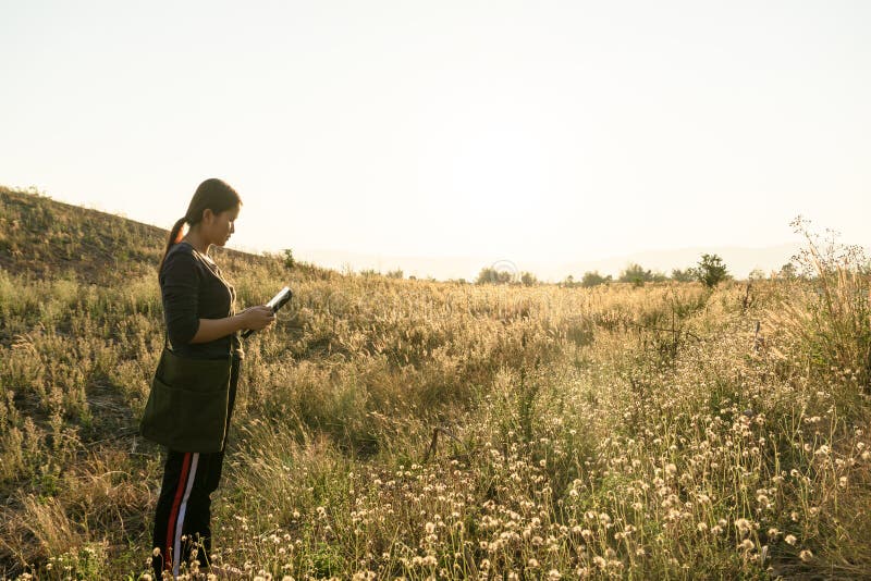Work Outside the Office, Where You Can Work Stock Image - Image of