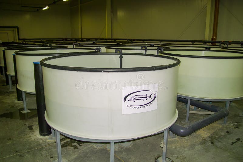 The work of the sturgeon plant in the Kaluga region of Russia. stock images The work of the sturgeon plant in the Kaluga region of Russia. stock images