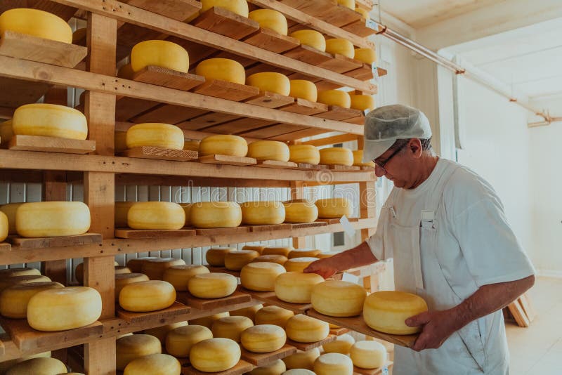 A Worker at a Cheese Factory Sorting Freshly Processed Cheese on Drying