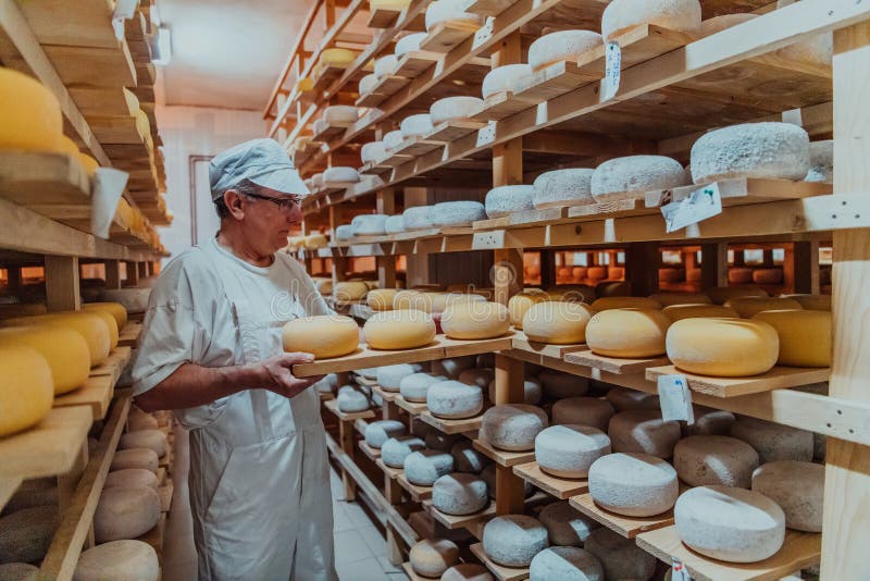 A Worker at a Cheese Factory Sorting Freshly Processed Cheese on Drying