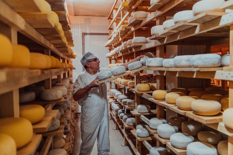 A Worker at a Cheese Factory Sorting Freshly Processed Cheese on Drying