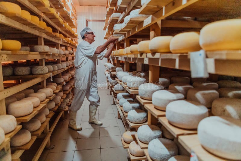 A Worker at a Cheese Factory Sorting Freshly Processed Cheese on Drying