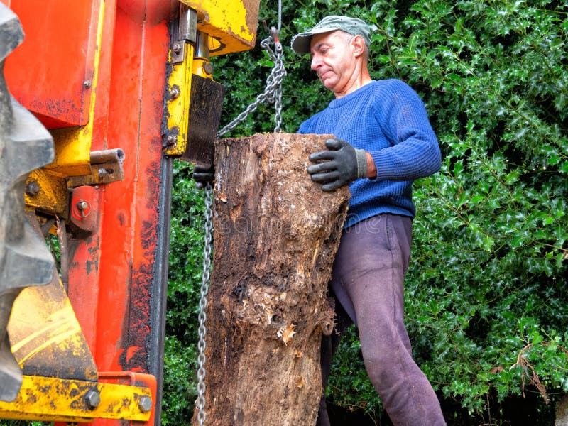 After Ten Years Of Chopping Firewood Worker Chopping Firewood With A Machine Close Up Stock Image - Image of