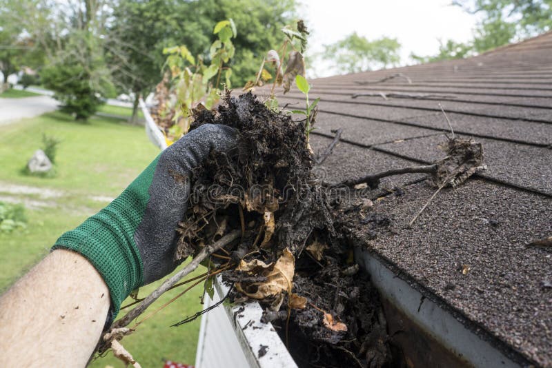 Worker Cleaning Gutters For A Customer royalty free stock image