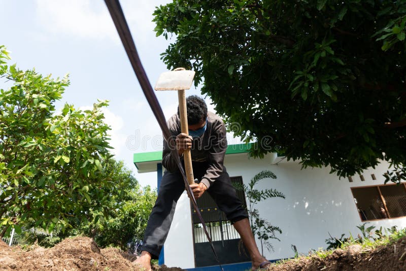 A worker is digging a hole by using hoe at the garden royalty free stock image A worker is digging a hole by using hoe at the garden royalty free stock image